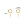 Earrings 'Dainty'
