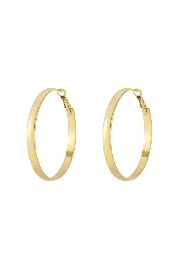 Earrings 'Basic hoop thick M'