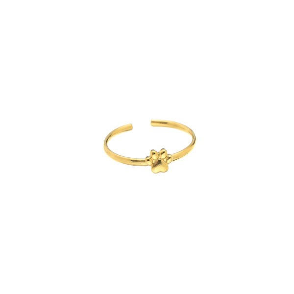 Ring 'Paw'