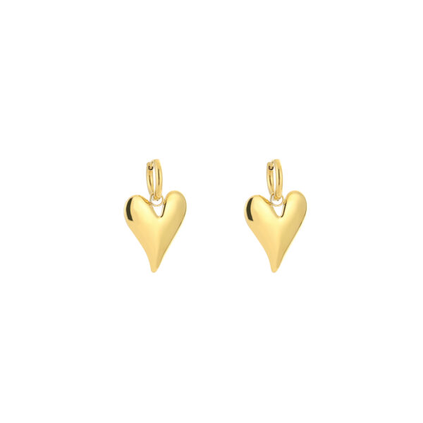 Earrings 'Elegant love'