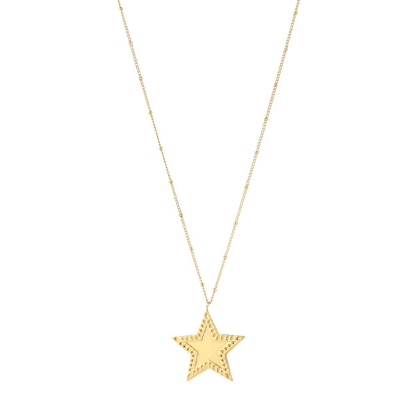 Long necklace 'Big star'