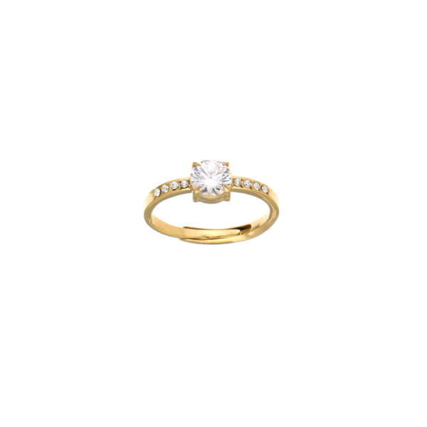Ring 'Shiny'