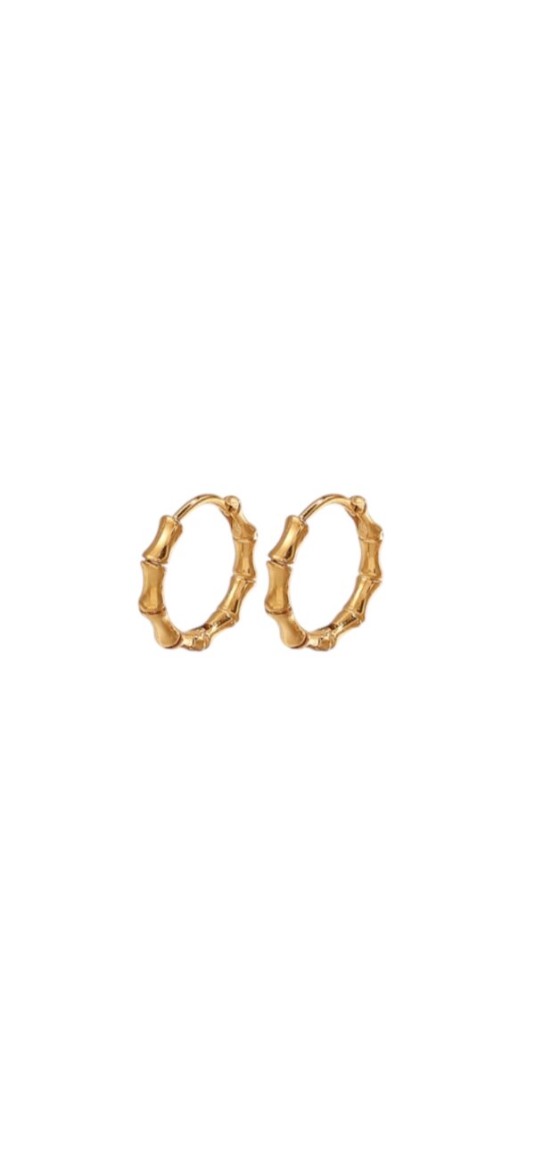 Earrings 'Bamboe'