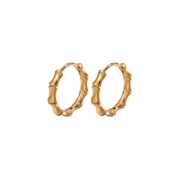 Earrings 'Bamboe'