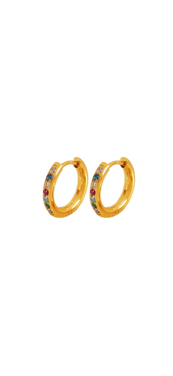 Earrings 'Small hoops color'