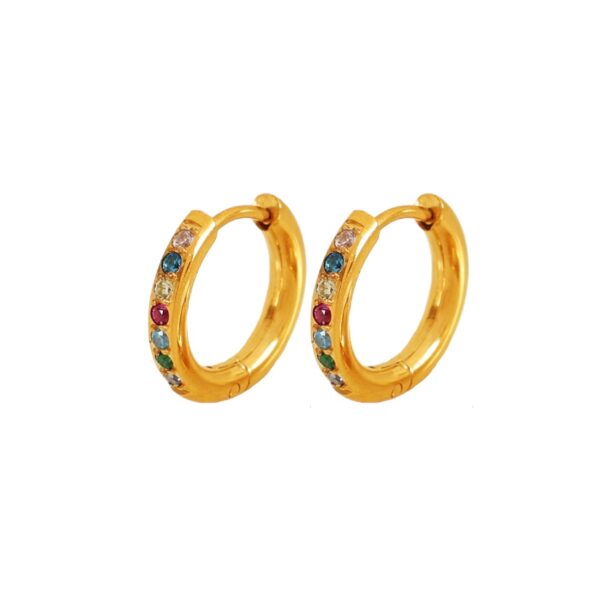 Earrings 'Small hoops color'