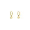 Earrings 'Paw'