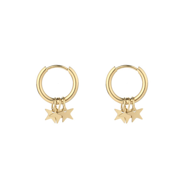 Earrings 'Star hoops'