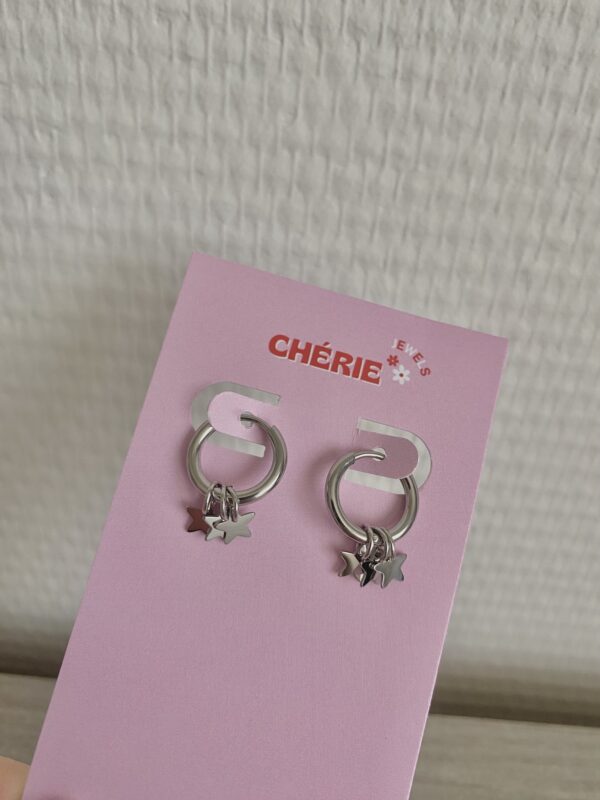 Earrings 'Star hoops'