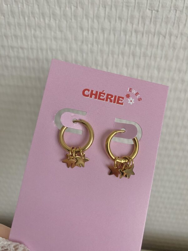 Earrings 'Star hoops'