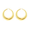 Earrings 'Elegant hoops'