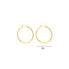 Earrings 'Thin hoops'