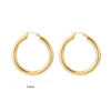 Earrings 'Fine hoops'