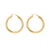 Earrings 'Fine hoops'