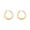 Earrings 'Chique hoops'