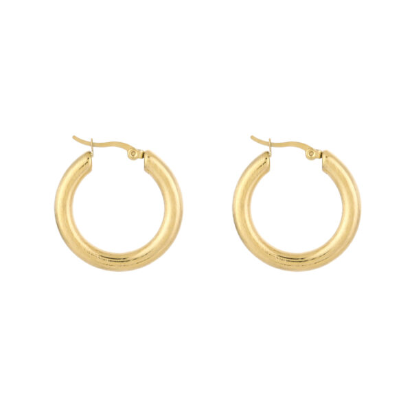 JE16675_241_3_1 Earrings 'Chique hoops'