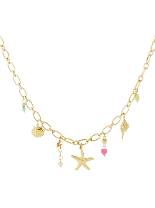 Necklace 'Coastal treasure'