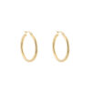 Earrings 'Cute hoops'
