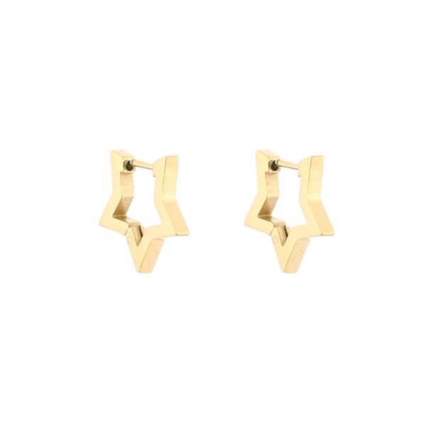 Earrings 'Midi star'