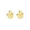 Earrings 'Statement flower studs'