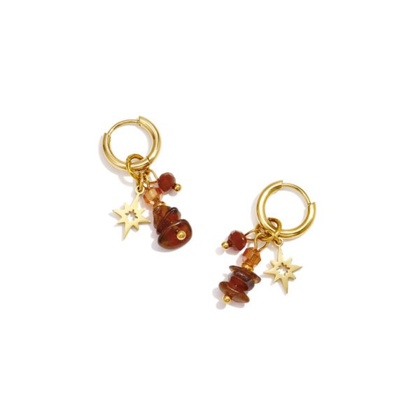 Earrings 'Brown mix star'