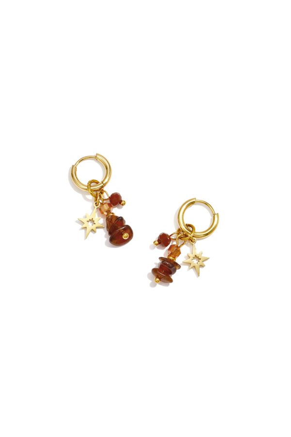 Earrings 'Brown mix star'